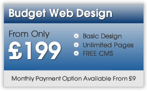 Budget Web Design Doddinghurst Essex